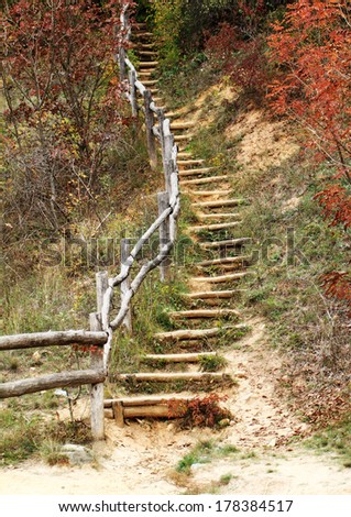 Beautiful autumn pictures of a forest steps