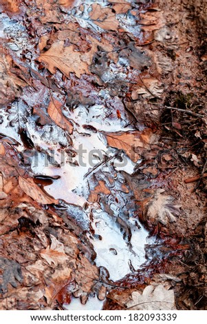 Photo of a contaminated water in the forest