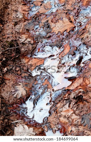 Photo of a contaminated water in the forest