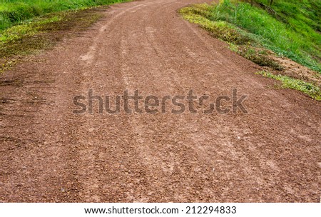 dirt road and force of nature, plant try to growing in nature