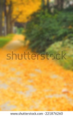 Beautiful colorful autumn fall season, abstract stylized blurry background, card wallpaper with copy space