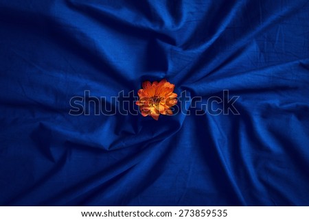 Closeup of bright small yellow red flower on folded wrinkled blue violet purple bed sheet