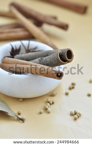 Bunch of Cinnamon sticks coriander seeds and star anise in a marble mortar.