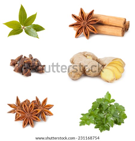 collage of different spices and herbs isolated on white background