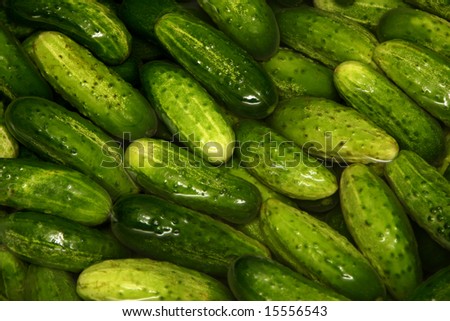 Many green cucumbers in water