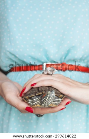 woman holding a Freshwater red eared turtle. Trachemys scripta. Close-up, place for your text