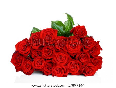 White Roses on the Red Background. Painting - White Roses on the Red stock photo : Bunch of red roses isolated on white background