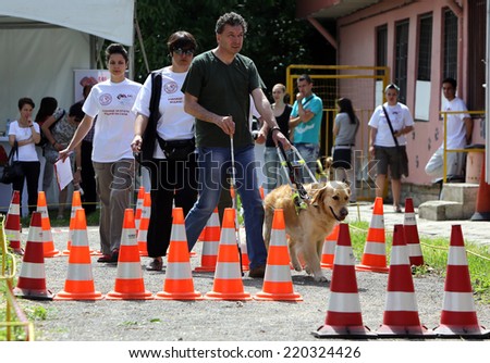 Blind man with his guide dog/Sofia, Bulgaria - June 25, 2014: A blind man is training with his Golder retriever guide dog.