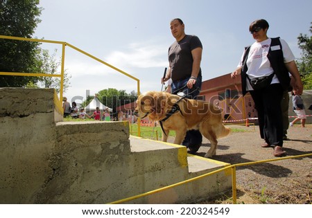 Blind person with his guide dog/Sofia, Bulgaria - June 25, 2014: A blind man is led by his guide dog trough stairways as part of dog's training.
