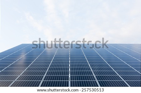 Many blue solar panels. Renewable energy.