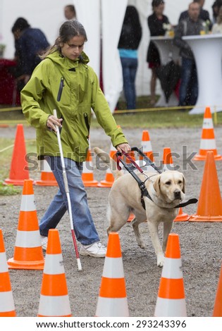Sofia, Bulgaria - June 18, 2015: A blind person is led by her golden retriever guide dog during the last training for the dog. The dogs are undergoing various trainings.