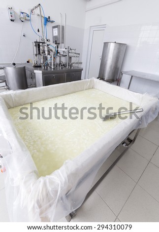 Karlovo, Bulgaria - June 19, 2015: A dairy tank with buffalo cheese in a small family creamery is preparing a cheese batch. The dairy farm is specialized in buffalo yoghurt and cheese production.