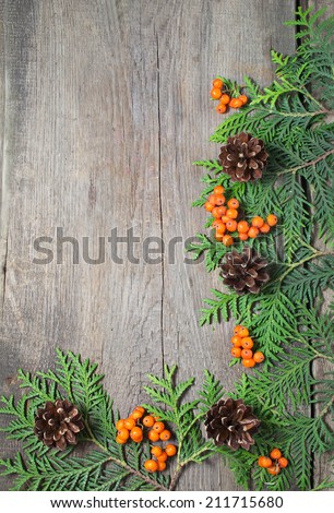 Christmas frame with fir tree, rowan berry and pine cones on wooden background