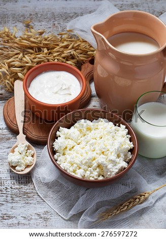 Dairy products: milk, cottage cheese, sour cream. Selective focus
