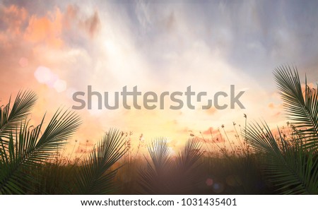 Palm Sunday concept: Border of palm leaves over meadow sunset background