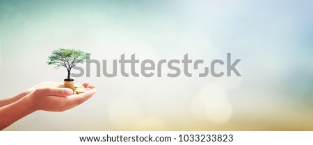 Social fund concept: Human hands holding stacks of golden coins and growth tree on blurred nature sunset background