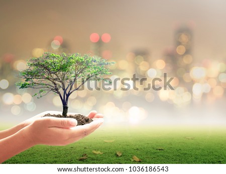 World environment day concept: Human hand holding big tree over city night background