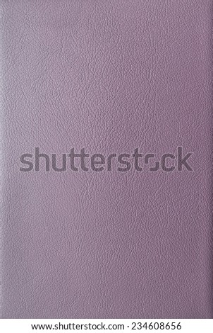 Purple leather cover of the book.
