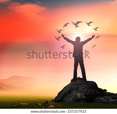 Silhouette of businessman with hands raised to birds flying in the shape of heart against beautiful sunset background.
