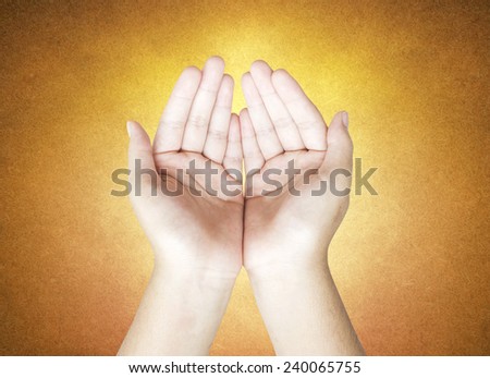 Human open empty hands with palms up.