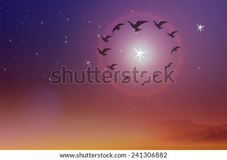 Birds flying in the shape of heart against a night sky and stars in the background.
