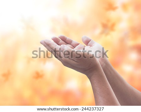 Human open empty hands with palms up, over blurred nature background