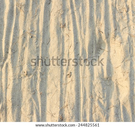 Closeup of sand pattern of a beach with pine leave.