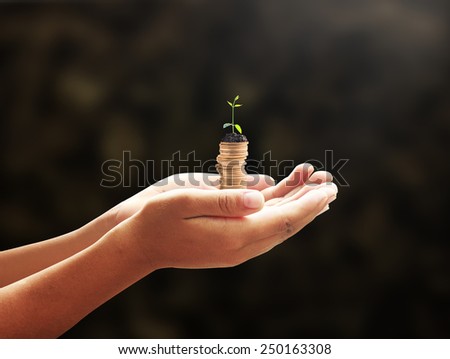 Human hand holding golden coins with young plant. Seedling in coins. Money coin concept.