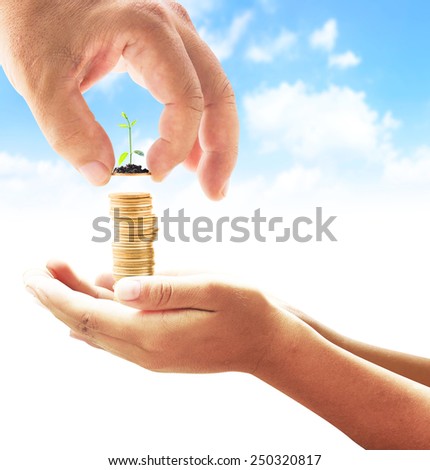 Human hand adding a golden coin with young plant in golden coins in another hands on blurred blue sky background. Money coin concept.