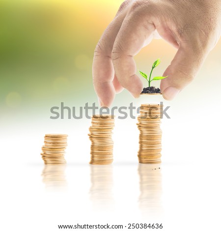 Human hand adding a golden coin with young plant in the final row over blurred nature background. Money coin concept.