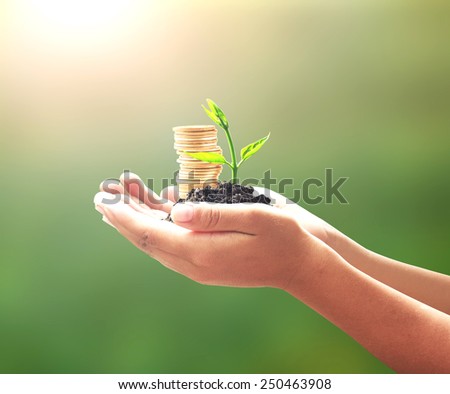 Human hand holding golden coins with young plant. Seedling and coins. Money coin concept.