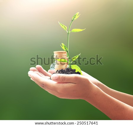 Human hand holding golden coins with two young plants. Seedling and coins. Money coin concept.