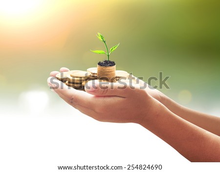 Human hand holding golden coins with young plant over blurred the city beautiful sunset background. Seedling in coins. Money coin concept.
