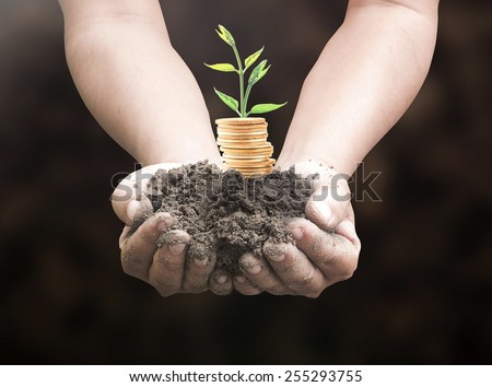 Human hand holding golden coins with young plant. Seedling in coins. Money coin, Health Care, Insurance, Investment, World Environment day, Seed, Saving Tree concept.