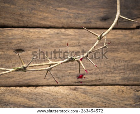 Crown of thorns with blood on a old wooden background. Focus on highest thorn on blurred The other thorn and wooden background.