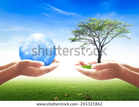 First, human hands holding big tree. Second, human hands holding Blue planet over nature background. Ecology concept.