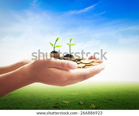 Human hand holding golden coins with young plant over beautiful nature background.. Seedling in coins. Money coin concept.