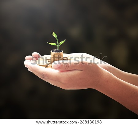 Human hands holding golden coins with young plant. Seedling in coins. Money coin concept.