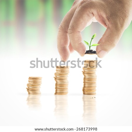 Human hand adding a golden coin with young plant in the final row over blurred lot board background. Money coin concept.