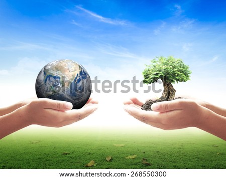 First, human hands holding planet. Second, human hands holding big tree over nature background. Ecology concept.Elements of this image furnished by NASA.