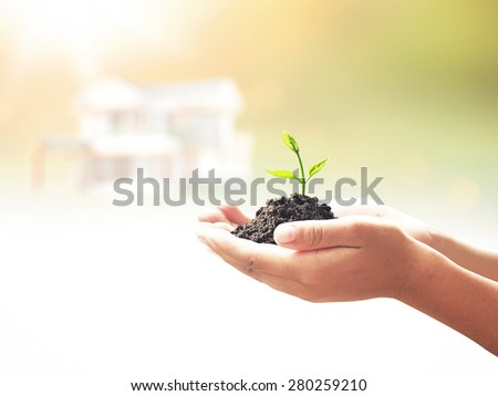 Human hands holding young plant over blurred house on nature background. Ecology concept.