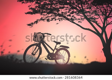 Silhouette bicycle in the meadow and big tree over beautiful sunset background.