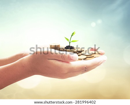 Human hand holding golden coins with young plant. Seedling in coins. Money coin concept.