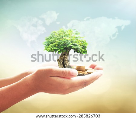 Vintage style. Human hands holding big plant with golden coins on blurred world map of clouds over beautiful ocean or forest or desert sunset background. Ecology concept. Money coin concept.
