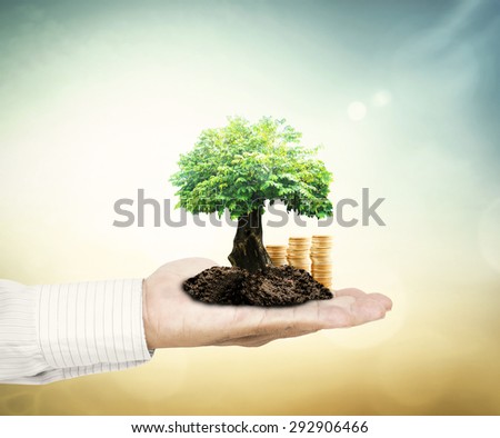 Businessman hand holding golden coins with big tree. Seedling in coins. Money coin concept.