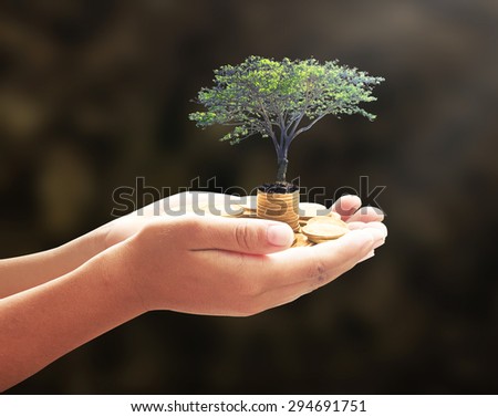 Human hand holding golden coins with big tree. Seedling in coins. Money coin concept.