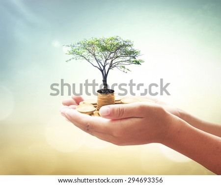Human hand holding golden coins with big tree over blurred abstract beautiful the city sea or ocean or forest or desert over colorful sunset background. Seedling in coins. Ecology, Money coin concept.