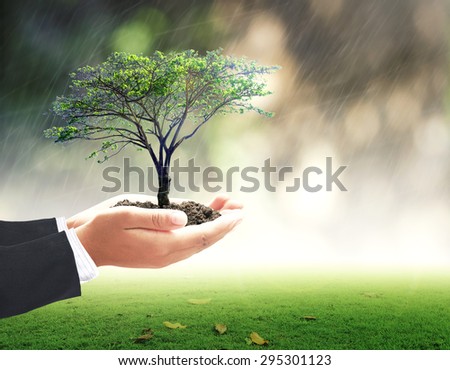 Businessman hands holding medium plant or big tree and soil with rainy over beautiful circle bokeh green light background. Ecology, World Environment Day, Business, Investment concept.