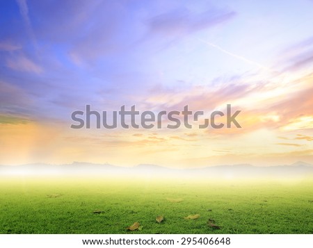 Abstract beautiful nature background. Ecology concept. World Environment Day concept.