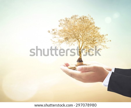 Businessman hands holding golden coins and plant over beautiful nature background. Ecology, Environment, Business, Investment, Seedling in coins, Money coin concept.